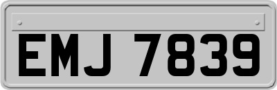 EMJ7839