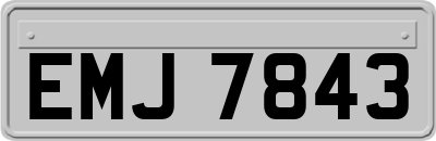 EMJ7843
