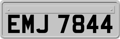 EMJ7844