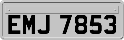 EMJ7853