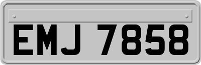 EMJ7858