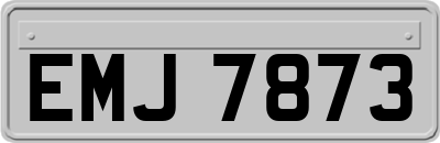EMJ7873