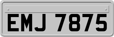 EMJ7875