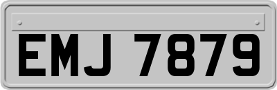 EMJ7879
