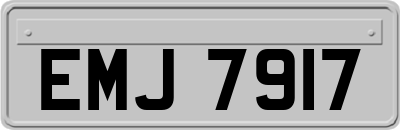 EMJ7917