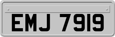 EMJ7919