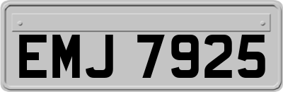 EMJ7925