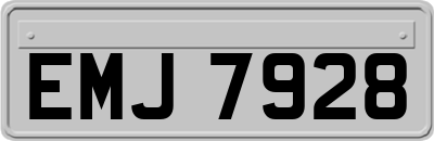EMJ7928