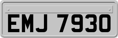 EMJ7930