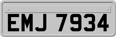 EMJ7934