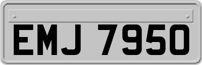 EMJ7950