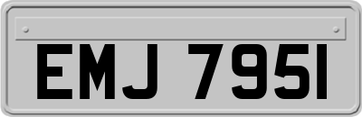 EMJ7951