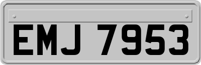 EMJ7953