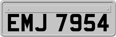 EMJ7954