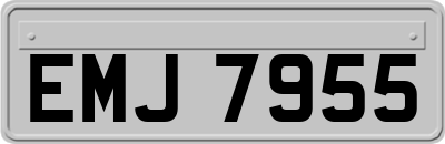 EMJ7955