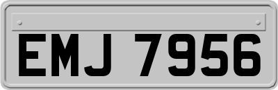 EMJ7956