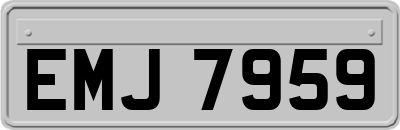 EMJ7959