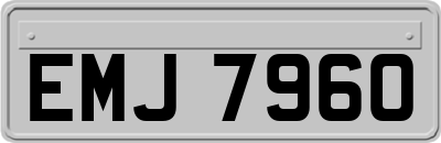 EMJ7960
