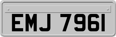 EMJ7961