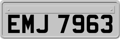 EMJ7963