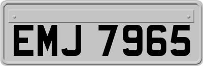 EMJ7965