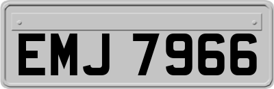 EMJ7966