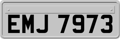 EMJ7973