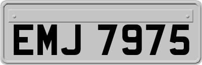 EMJ7975