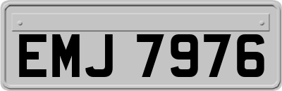 EMJ7976