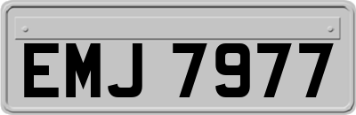 EMJ7977