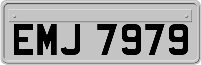 EMJ7979