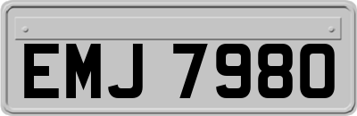 EMJ7980