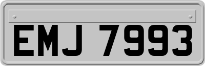 EMJ7993