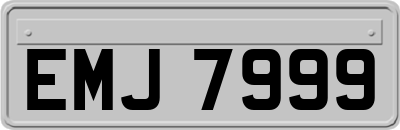 EMJ7999