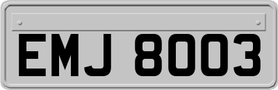 EMJ8003