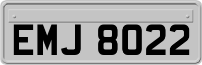 EMJ8022