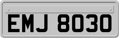 EMJ8030