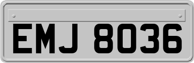 EMJ8036