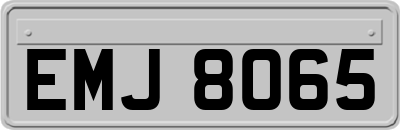 EMJ8065