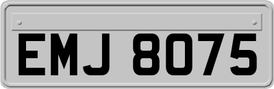 EMJ8075