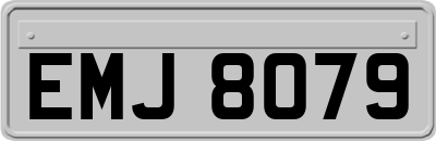 EMJ8079