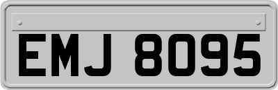 EMJ8095
