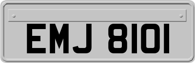 EMJ8101