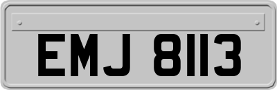 EMJ8113