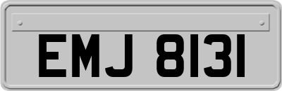 EMJ8131