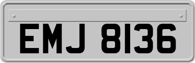 EMJ8136