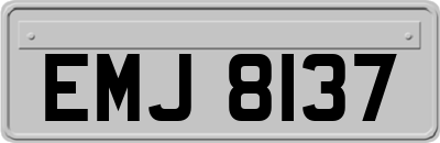 EMJ8137