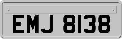 EMJ8138