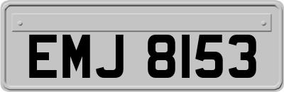 EMJ8153