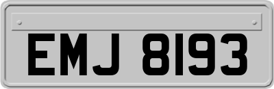 EMJ8193